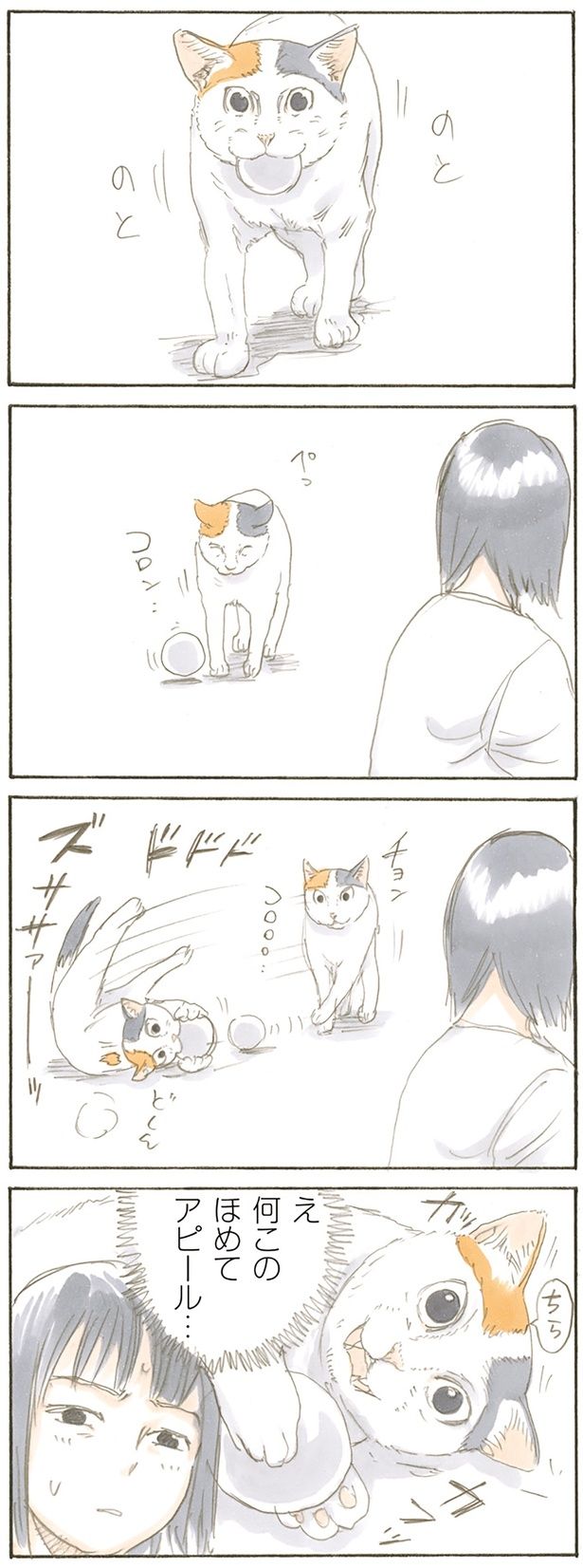 何このほめてアピール （C）にごたろ／KADOKAWA