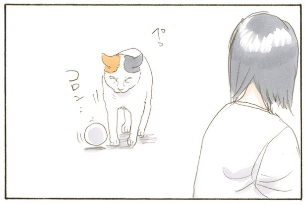 コロン… （C）にごたろ／KADOKAWA