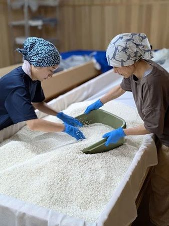 UNPLAN Village Hakubaと市野屋酒造が、ショットスタイルで楽しむ日本酒を発売！