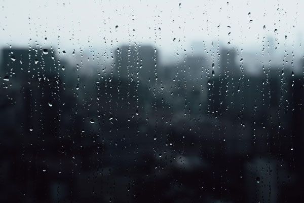 悲しみにフタをしない。胸に抱いたまま前を向く