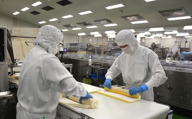 【工場見学】ロールケーキの手巻き風景
