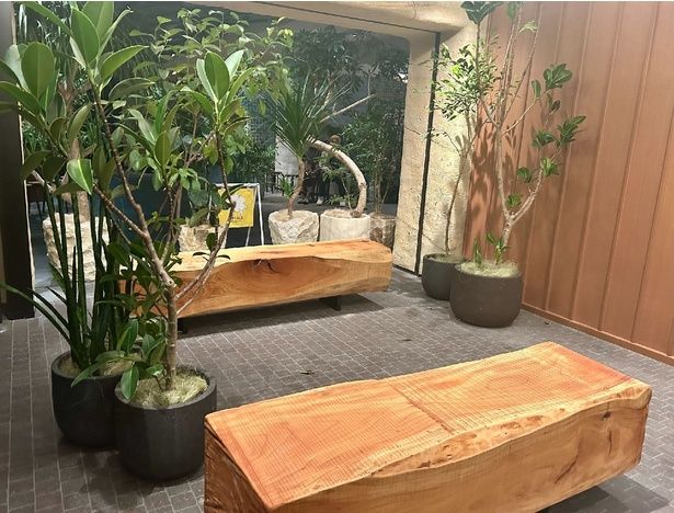 緑豊かなイートインスペースで、買ったドーナツをすぐに食べることもできる！