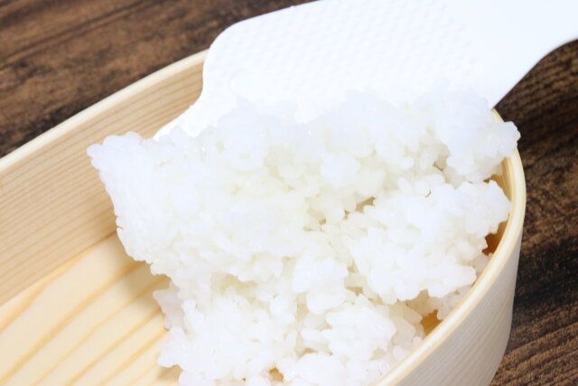 くっつきにくい立つしゃもじ（小） ごはんを弁当箱に詰める