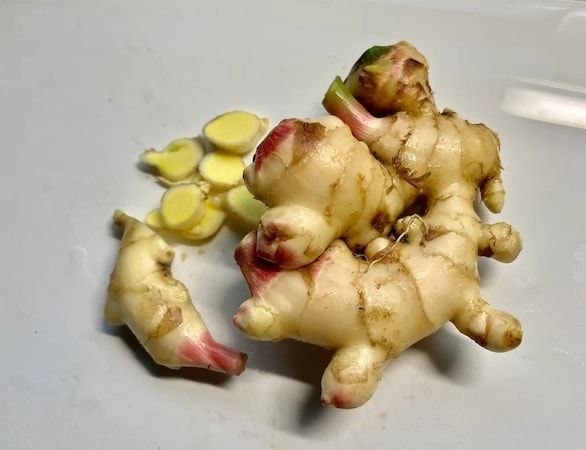 石川県能登や富山県新川の素材を使ったクラフトジン「CHA-CHA-CHA」が登場！