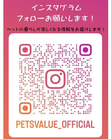 飼い主の要望に応じた商品を提案するペット用品EC「PETPET online」登場！割引企画も