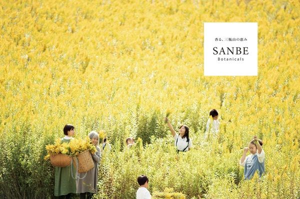 「Chai Apothecary」が冬限定のチャイシロップとギフトセットを発売