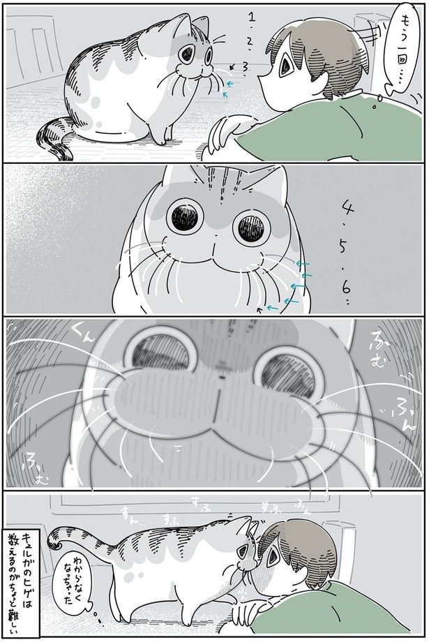 数えるのがちょっと難しい （C）キュルZ／KADOKAWA