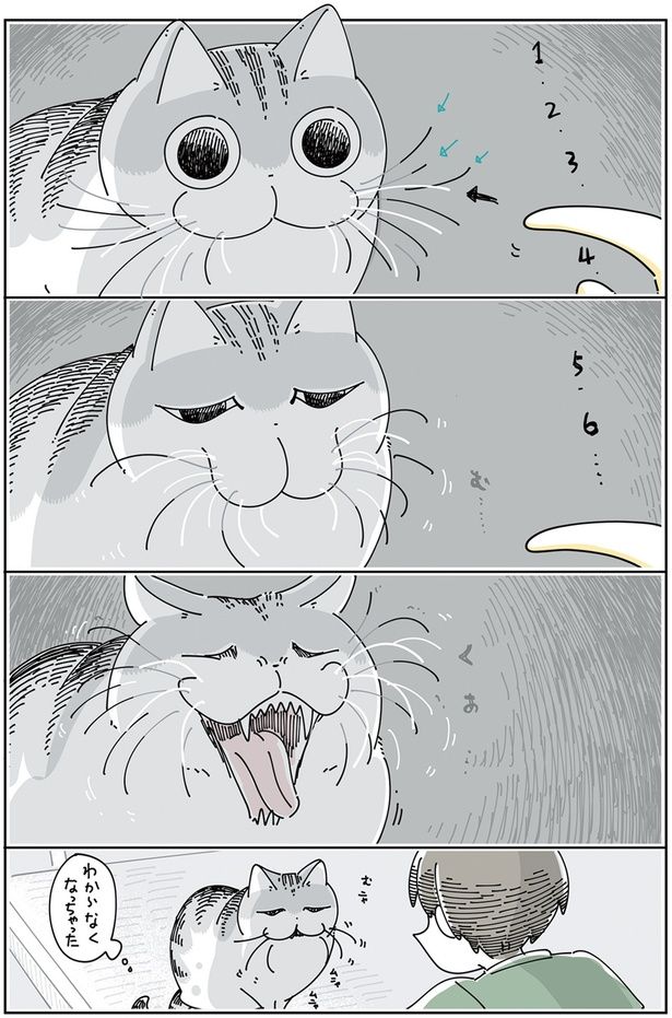 わからなくなっちゃった （C）キュルZ／KADOKAWA