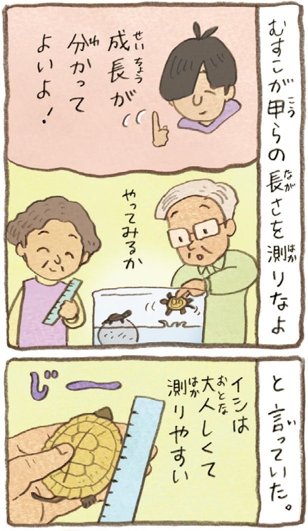 成長が分かってよいよ！ （C）やましたこうへい／KADOKAWA