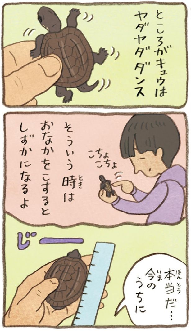そういう時は （C）やましたこうへい／KADOKAWA