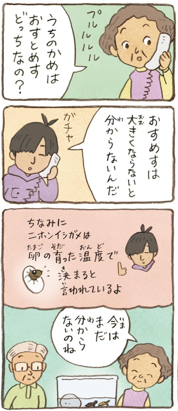 今はまだ分からないのね （C）やましたこうへい／KADOKAWA