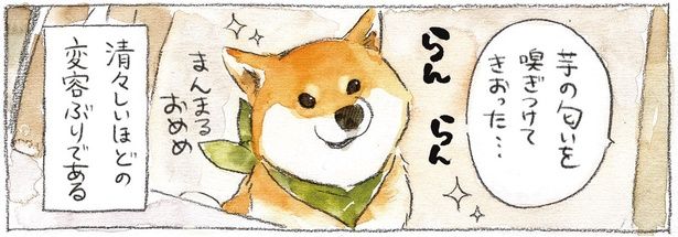 芋の匂いを嗅ぎつけてきおった… （C）犬山スケッチ／KADOKAWA