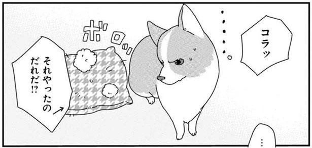 いたずらの犯人は？絶対に目を合わせない愛犬があやしい (C)らくだ／KADOKAWA