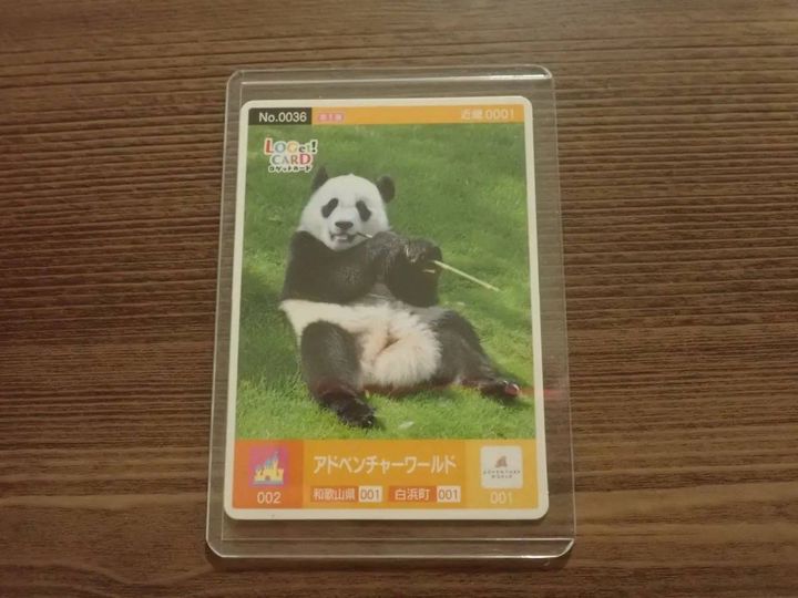 DAISO(ダイソー)：硬質カードケース(UV90%カット、横型、B8サイズ、3枚)