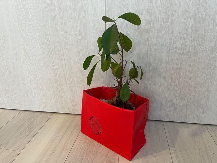 「その紙袋、捨てないで！」クリスマスでゲットしたショッパーの賢い使い道6選♡