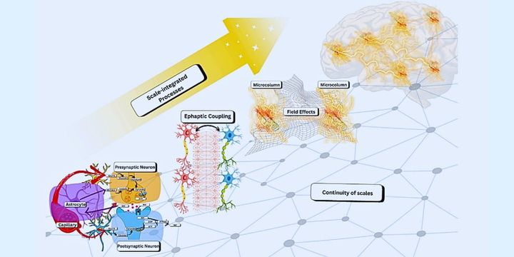 意識はアルゴリズムより「計算する物質」に近いのかもしれない