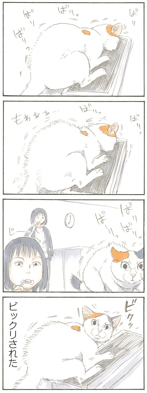 見てたの!? （C）にごたろ／KADOKAWA