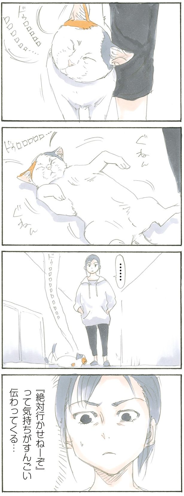 猛アピール （C）にごたろ／KADOKAWA