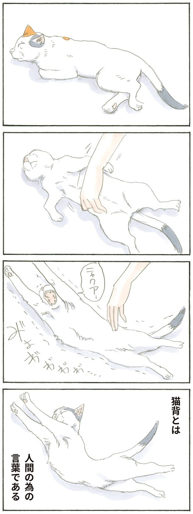 猫背 （C）にごたろ／KADOKAWA