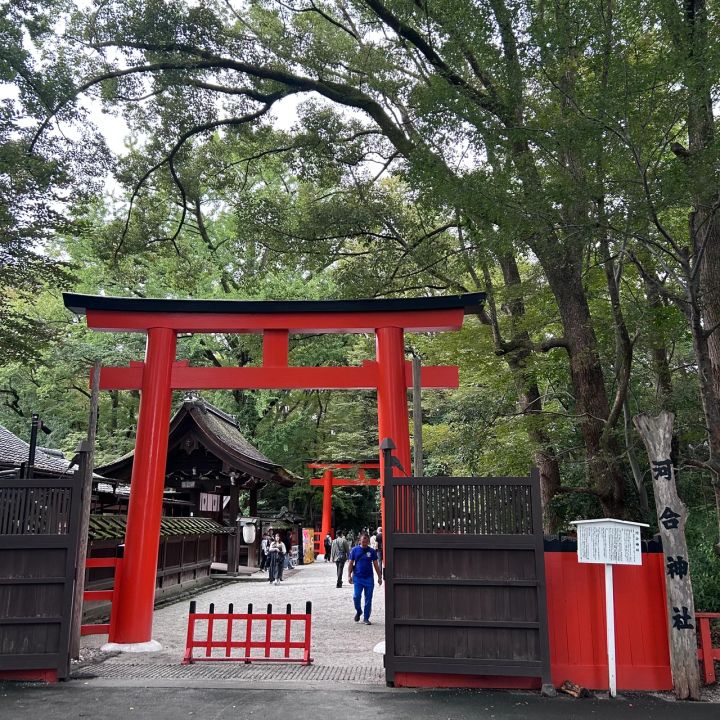 京都府 河合神社 鳥居 開運 ご利益 パワースポット