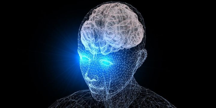 人間の視覚には「空気を読む」ための“第3の回路”があるようだ