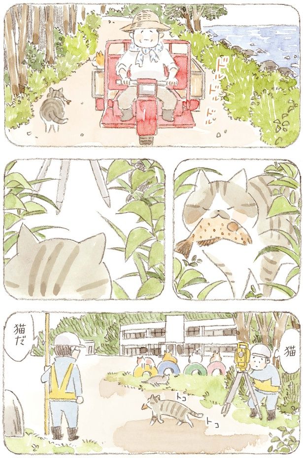 魚を咥えて歩く猫 （C）ねこまき（ミューズワーク）／KADOKAWA