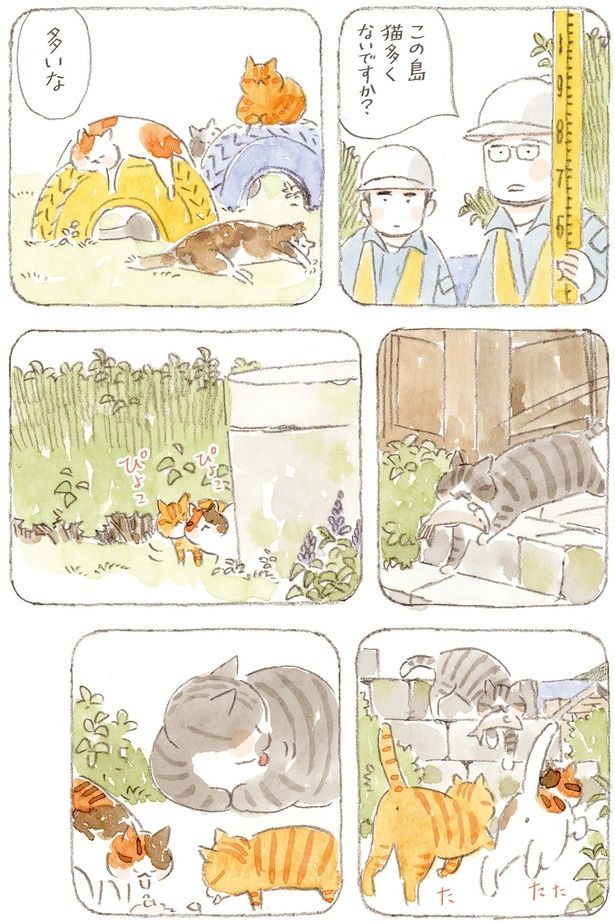 この島猫多くないですか？ （C）ねこまき（ミューズワーク）／KADOKAWA