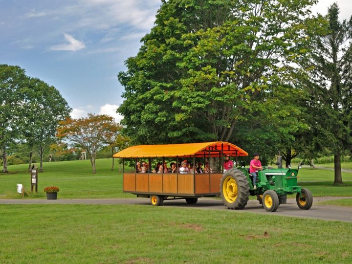 大東建託は、岩手県に住む20歳以上の男女を対象に居住満足度調査を行い、「いい部屋ネット 街の幸福度ランキング2025＜岩手県版＞」として発表しました。岩手県民が選ぶ「街の幸福度（自治体）」ランキングの2位は「雫石町」、1位は？