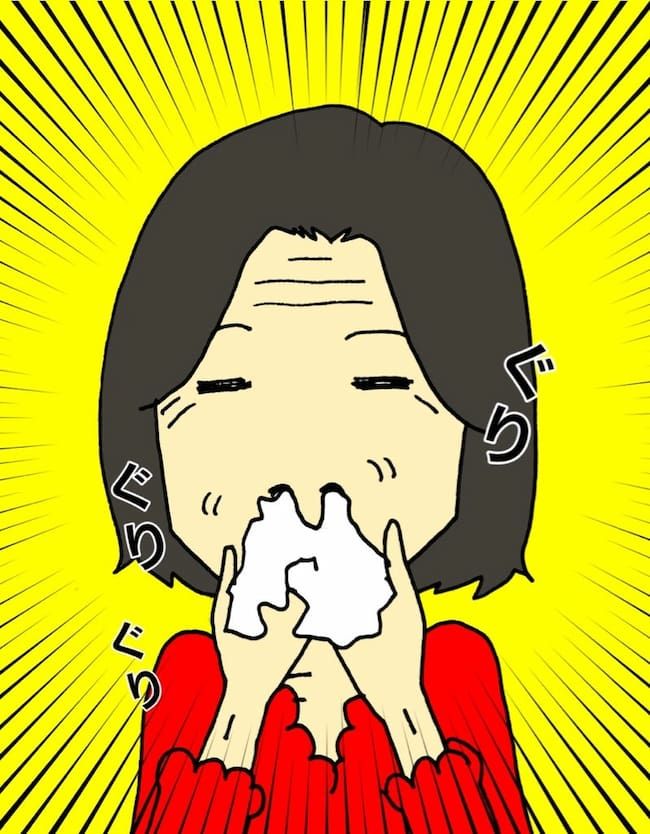 母の認知症介護日記／ワフウフ