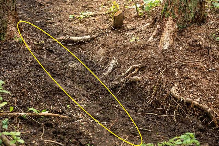 チャンピオン 渡辺学に学ぶ!! 超実戦的エンデューロライテク 木の根攻略編