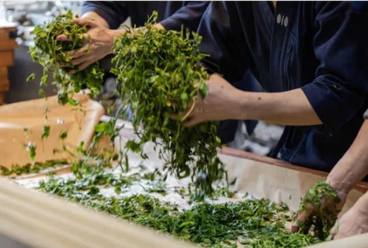 茶葉を選別している様子。作業員が手作業で茶葉をふるいにかけている。