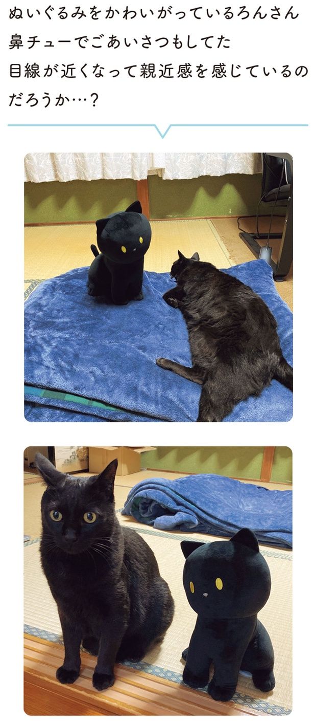 鼻チューでごあいさつもしてた （C）AKR／KADOKAWA