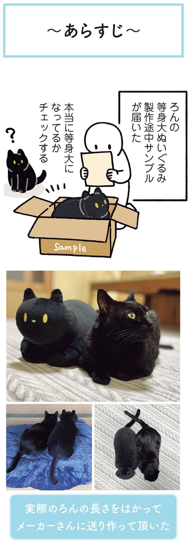 本当に等身大になってるかチェックする （C）AKR／KADOKAWA