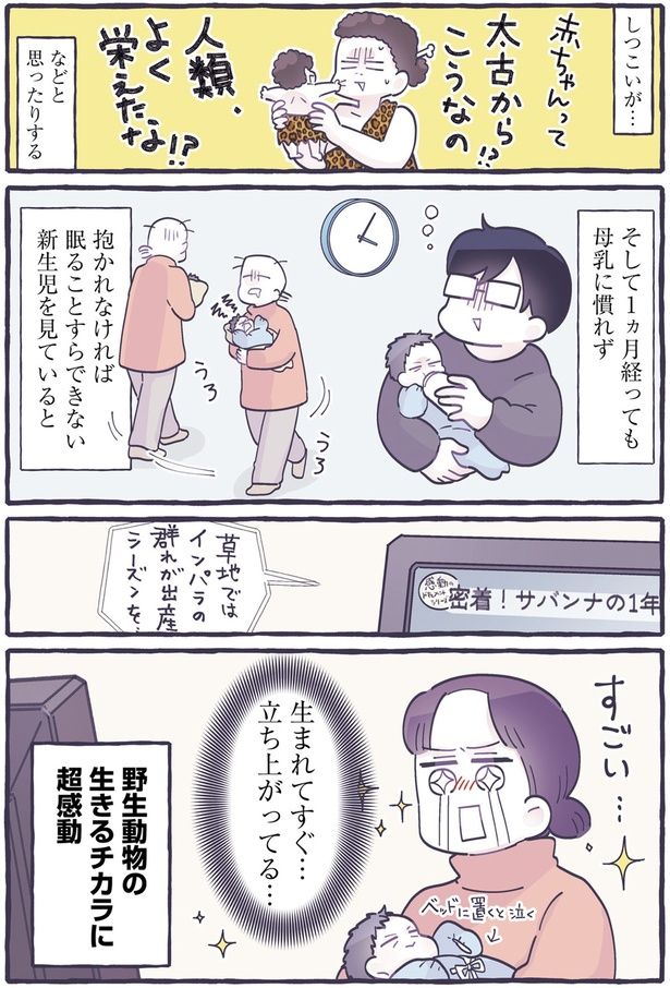 生まれてすぐ…立ち上がってる… （C）るしこ／KADOKAWA