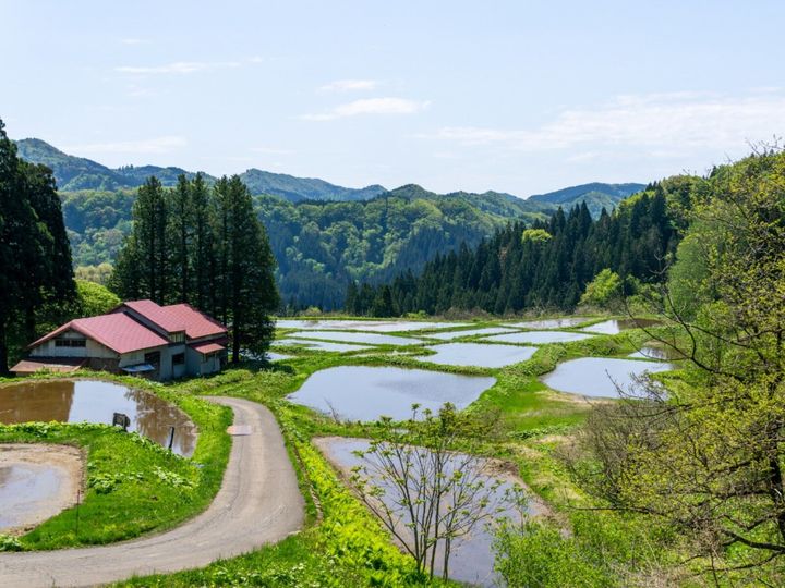 All About ニュース編集部が全国250人を対象に実施した自治体に関するアンケートの調査結果から、治安がいいと思う「秋田県の自治体」ランキングを発表！ 同率2位「藤里町」「東成瀬村」を抑えた1位は？