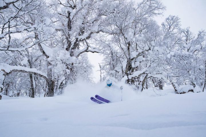 バラエティに富んだたくさんのコースがある