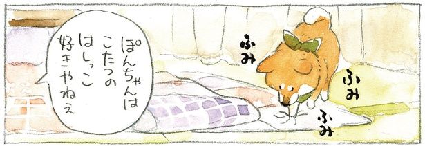 こたつのはしっこ好きやねぇ （C）犬山スケッチ／KADOKAWA