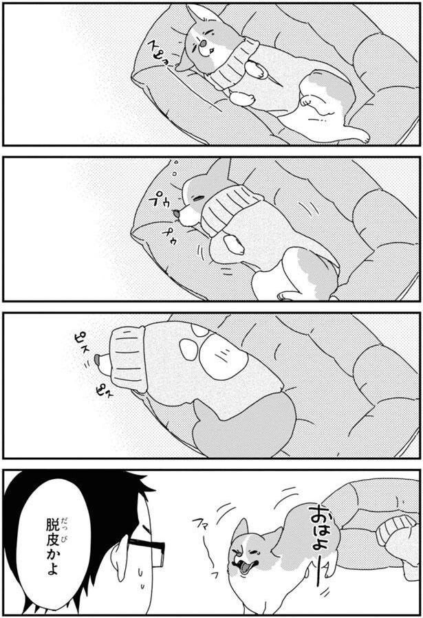 脱皮 (C)らくだ／KADOKAWA