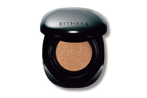 EITHER＆ ぺブルブラークッション