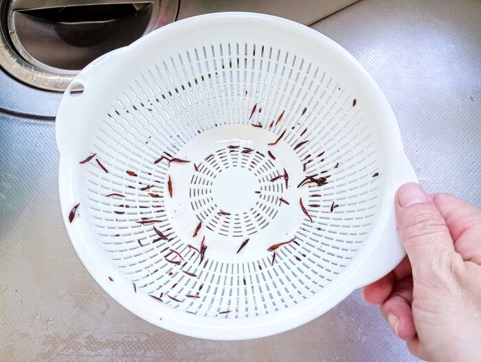 食器洗いだけじゃ損！100均『シリコンスポンジ』がフィットする使い道3選♡