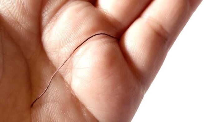 手のひらで「糸が通せる」って本当！？噂の