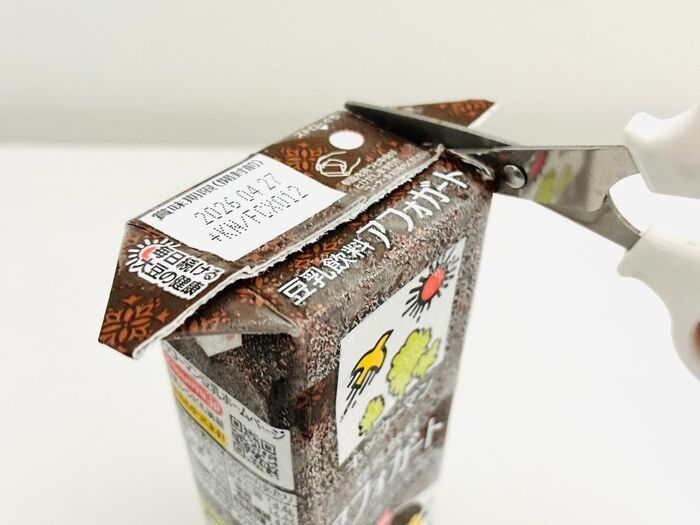 『豆乳飲料』を紙パックごと冷凍庫にドーン！→禁断の「シャリシャリ化」を試してみたら…激ウマでした。