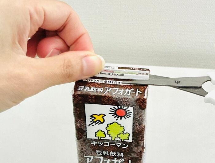 『豆乳飲料』を紙パックごと冷凍庫にドーン！→禁断の「シャリシャリ化」を試してみたら…激ウマでした。