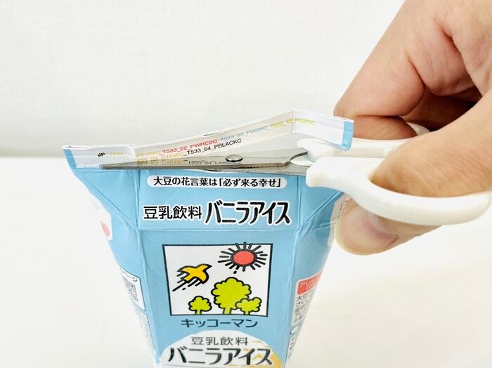 『豆乳飲料』を紙パックごと冷凍庫にドーン！→禁断の「シャリシャリ化」を試してみたら…激ウマでした。