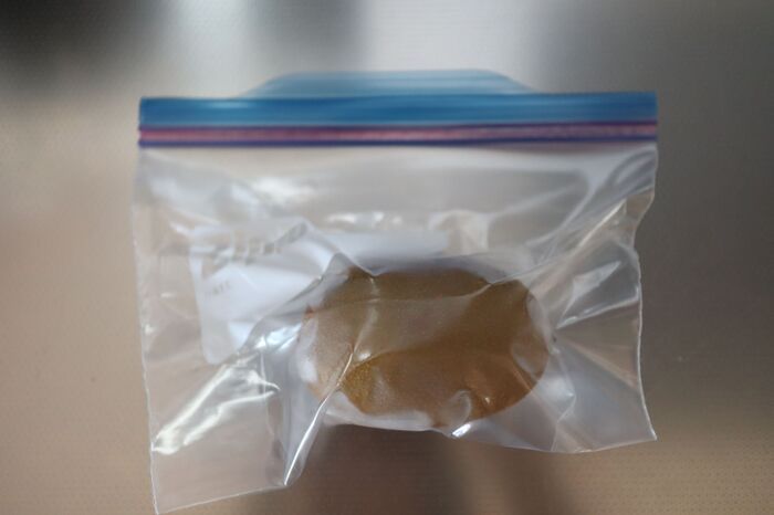 キウイを入手したら『まるごと冷凍』が大正解。皮がツルンと剥ける快感テクニックも必見！