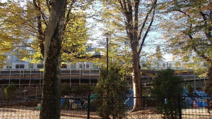 STANFORD所属のモデル・川野桜太の好きなもの③冬