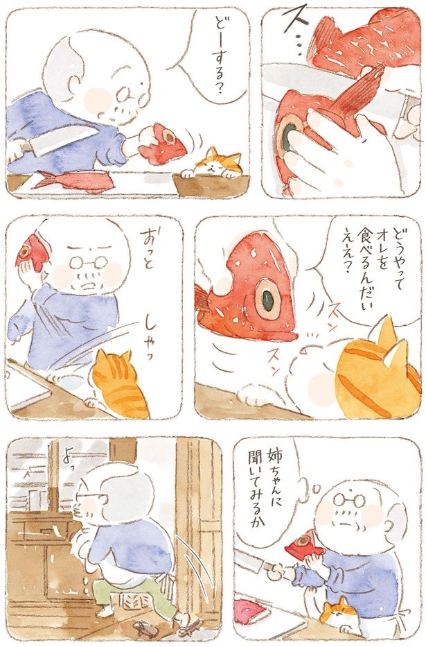 姉ちゃんに聞いてみるか （C）ねこまき（ミューズワーク）／KADOKAWA