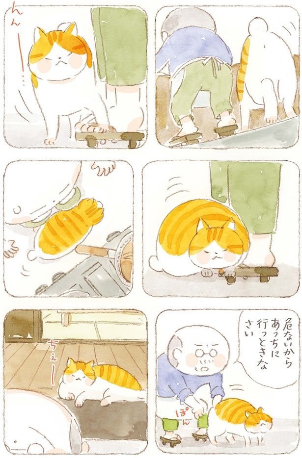 危ないからあっちに行っときなさい （C）ねこまき（ミューズワーク）／KADOKAWA