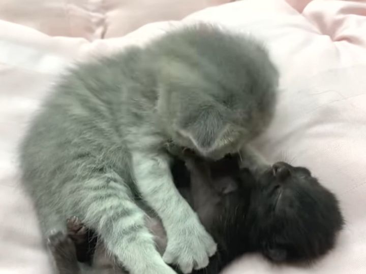 ぎゅってされてる姿にほっこり！