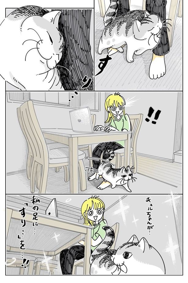 02 画像提供：キュルZ@kyuryuZ